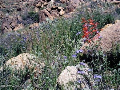 Wild flowers