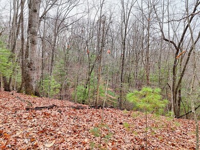 Tract 3 Wilmar Cir, Blairsville, GA 30512 - photo 6