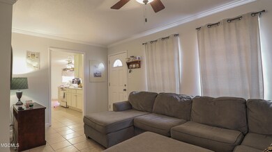 Living Room Continued