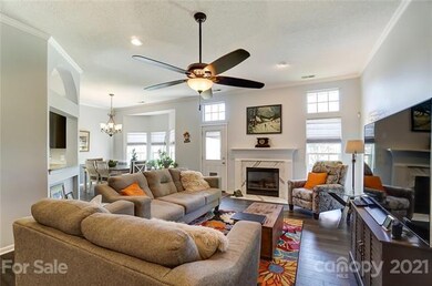 Living Room w/gas logs