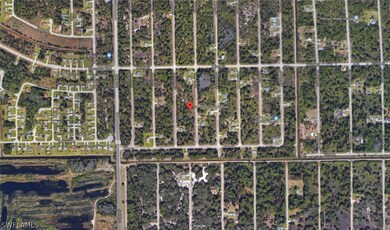 2011 Grayson Ave, Alva, FL 33920 - photo 4