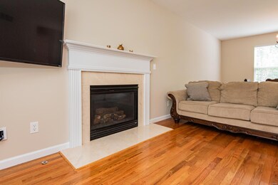 Functional Gas Fire Place
