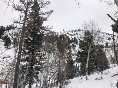 127 Flavin Ln unit 127, Fort Garland, CO 8113 - photo 4