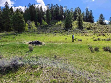 TBD Lantern Way, Cascade, ID 83657 - photo 2