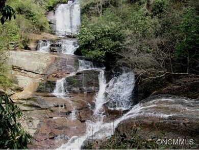 Connestee Falls