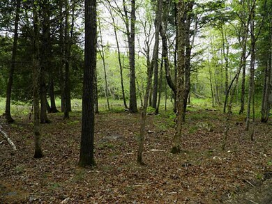 Land/Lot.