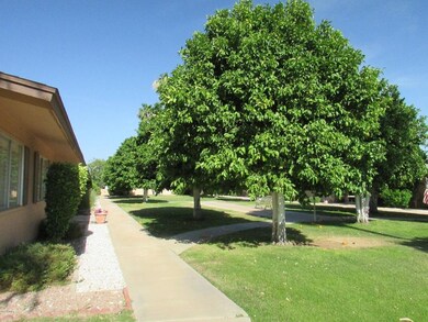 14064 N Newcastle Dr unit 262, Sun City, AZ 85351 - photo 5