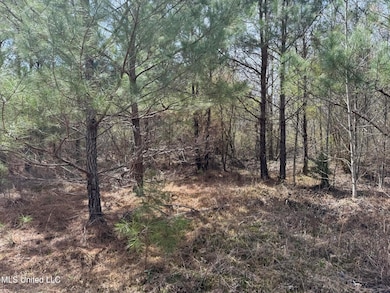 0 Clyde Evans Rd, Newton, MS 39345 - photo 6