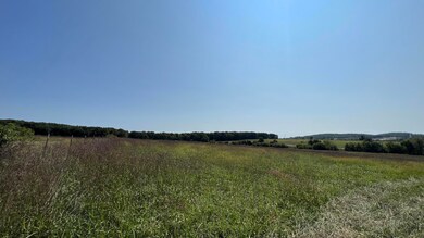 000 Gibson Lane Rd unit Lot 2, Mountain Grove, MO 65711 - photo 5