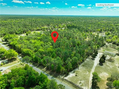 0 SW 95th St unit 823752, Dunnellon, FL 34431 - photo 3