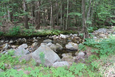 118 Gilman Valley Rd, Tamworth, NH 03814 - photo 7