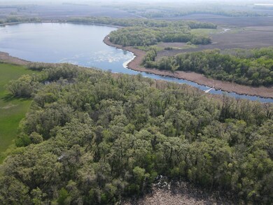 Lakeshore on Whitney Lake