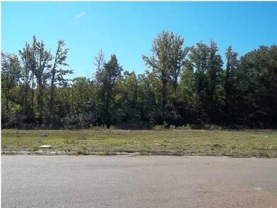 Nice lots that back up to Natchez Trace