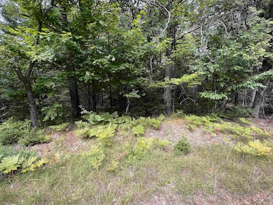 0 Bruette Rd unit 50314133, Wausaukee, City of, WI 54177 - photo 2