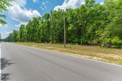 5.31 ac xx John Nix Rd, Crestview, FL 32539 - photo 6