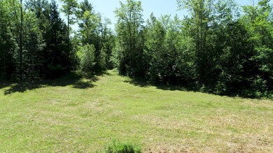 Nice Field in front of the camp