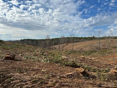 0 Leesville Rd, Lynch Station, VA 24571 - photo 2