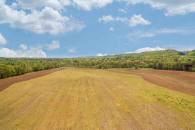 Baugh_Springs_Rd