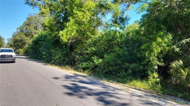 118 Irving Ave, Lehigh Acres, FL 33936 - photo 2