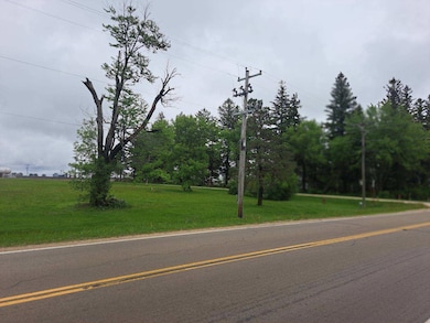 TBD S Adams St, Elkton, MN 55933 - photo 2