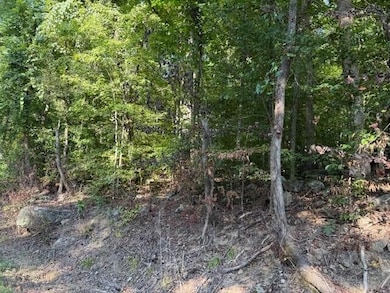 13 Mullins Cove Rd, Powells Crsrd, TN 37397 - photo 3