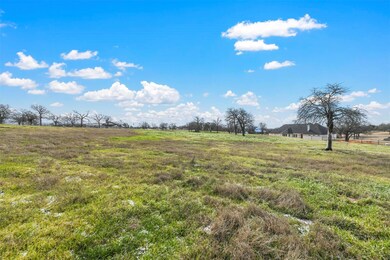 305 Pidgeon Ln, Weatherford, TX 76087 - photo 7