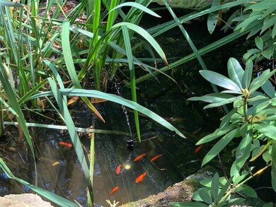 Koi pond from your front porch ...