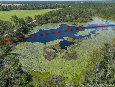 0 Rhonda Coleman Rd, Hazlehurst, GA 31539 - photo 7