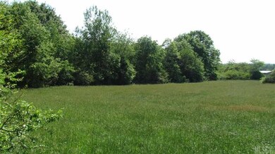Open Grass Field
