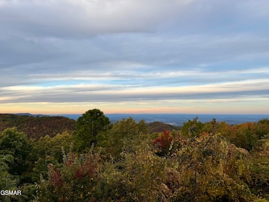 1386 Ski View Dr unit 111, Gatlinburg, TN 37738 - photo 3