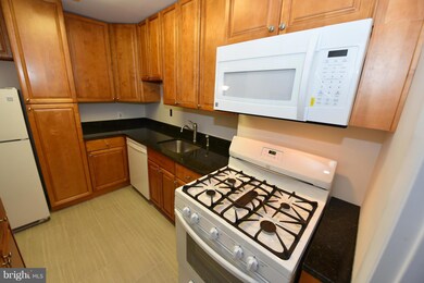 1111 University Blvd W unit 317, Silver Spring, MD 20902 - photo 7