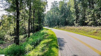 500 Chinquapin Rd, Travelers Rest, SC 29690 - photo 3