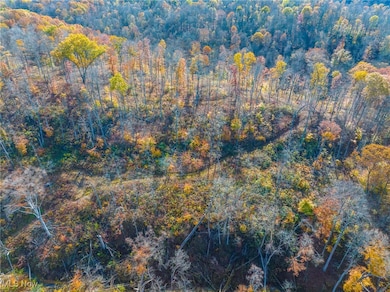 0 Hambel Rd, Union Township, OH 43758 - photo 4