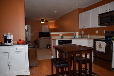 4826 Annual Dr, Canal Winchester, OH 43110 - photo 6