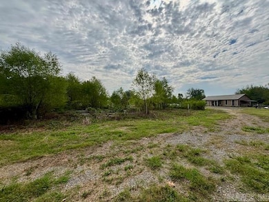 6153 Arkansas 319, Austin, AR 72007 - photo 3