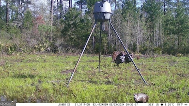 5790 Wooddell Dr, Waycross, GA 31503 - photo 4