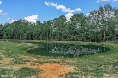 113 Antrim Rd, Plain Dealing, LA 71064 - photo 4