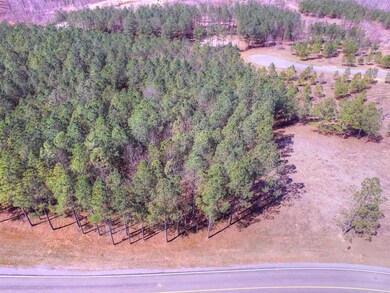 2275 River Bluffs Dr, Jasper, TN 37347 - photo 4