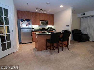 1136 Cove Rd unit 301, Annapolis, MD 21403 - photo 4