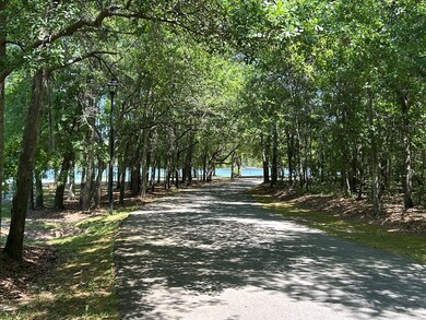 Lot 12C Garrett's Point, Meigs, GA 31765 - photo 5