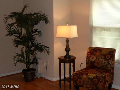 2802 Clear Shot Dr unit 536, Silver Spring, MD 20906 - photo 4