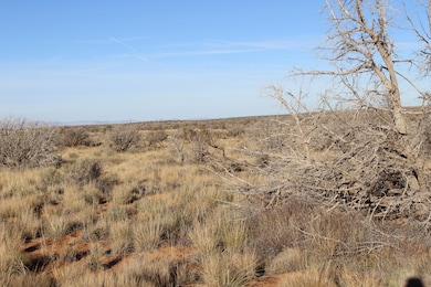 Lot 224 Ccr - Unit 224, Heber, AZ 85928 - photo 3