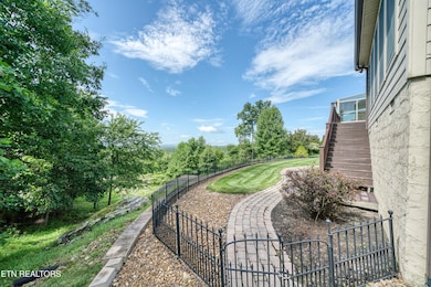 View of the Backyard