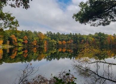 13 Relda Rd, South Weymouth, MA 02190 - photo 2