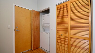 unlisted-address, Chicago, IL 60607 - photo 3