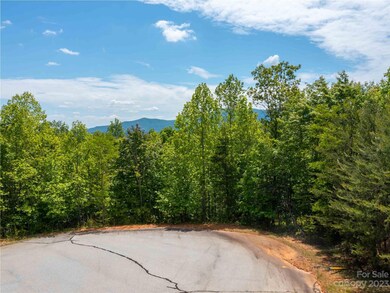 Lot 145 Wee Burn Cove, Mill Spring, NC 28756 - photo 2