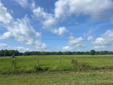 0 Cr 353 unit 12686958, Brazoria, TX 77422 - photo 4