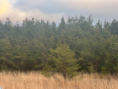 2214 E 56th St, Chase, MI 49623 - photo 4