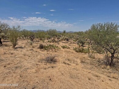 14943 W Parkin Ln, Three Points, AZ 85736 - photo 5