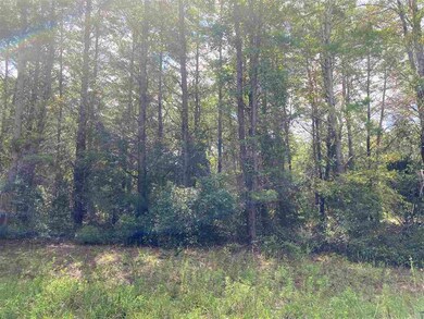 Vacant Sea Urchin Dr, Perry, FL 32348 - photo 5